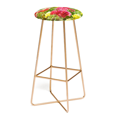 Lisa Argyropoulos Snappies Bar Stool