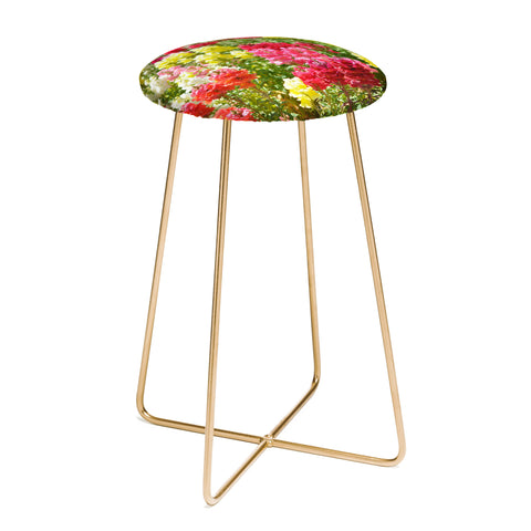 Lisa Argyropoulos Snappies Counter Stool