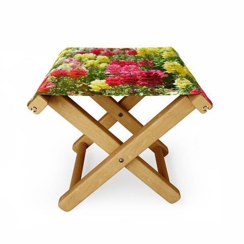 Lisa Argyropoulos Snappies Folding Stool