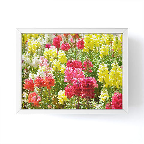 Lisa Argyropoulos Snappies Framed Mini Art Print