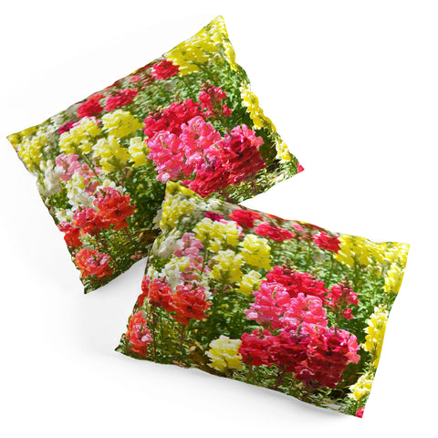 Lisa Argyropoulos Snappies Pillow Shams