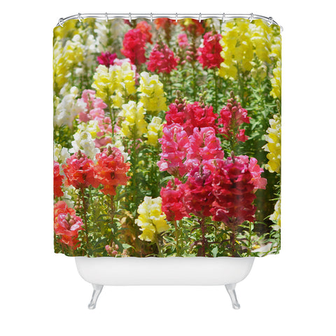 Lisa Argyropoulos Snappies Shower Curtain