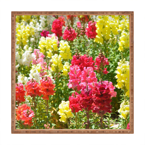 Lisa Argyropoulos Snappies Square Tray