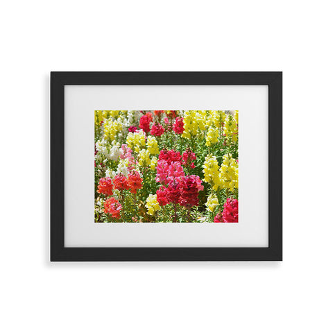 Lisa Argyropoulos Snappies Framed Art Print