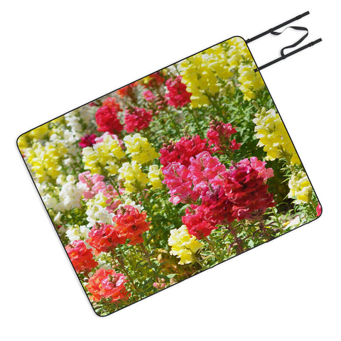 Lisa Argyropoulos Snappies Picnic Blanket