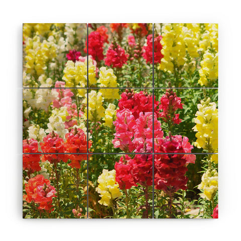 Lisa Argyropoulos Snappies Wood Wall Mural