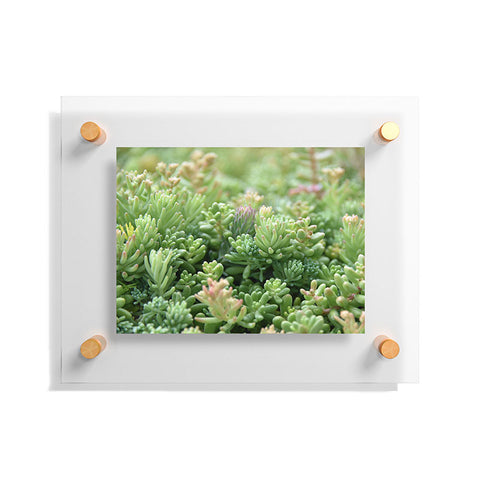 Lisa Argyropoulos Succulent Jungle Floating Acrylic Print