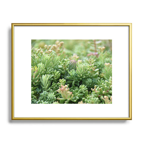Lisa Argyropoulos Succulent Jungle Metal Framed Art Print