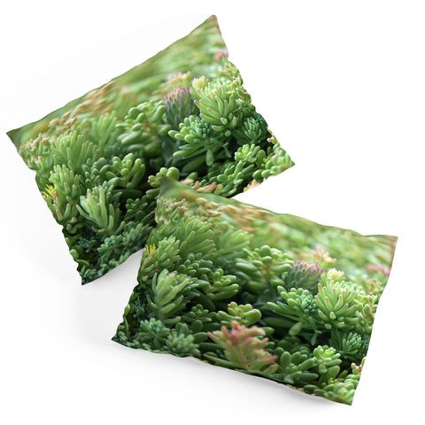 Lisa Argyropoulos Succulent Jungle Pillow Shams