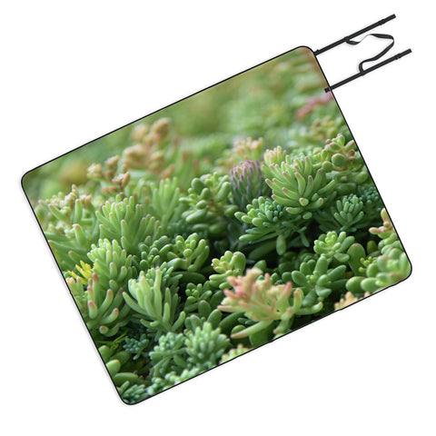 Lisa Argyropoulos Succulent Jungle Picnic Blanket