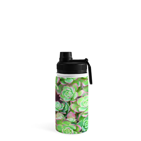 Lisa Argyropoulos Succulents Color Water Bottle