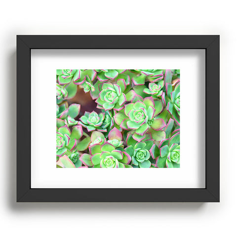 Lisa Argyropoulos Succulents Color Recessed Framing Rectangle