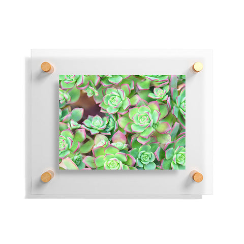 Lisa Argyropoulos Succulents Color Floating Acrylic Print