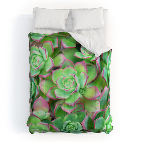 Lisa Argyropoulos Succulents Color Comforter