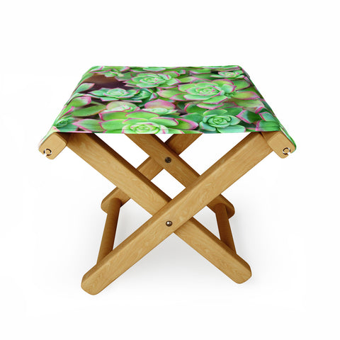 Lisa Argyropoulos Succulents Color Folding Stool