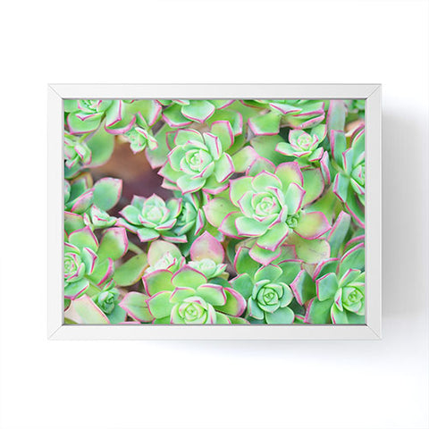 Lisa Argyropoulos Succulents Color Framed Mini Art Print