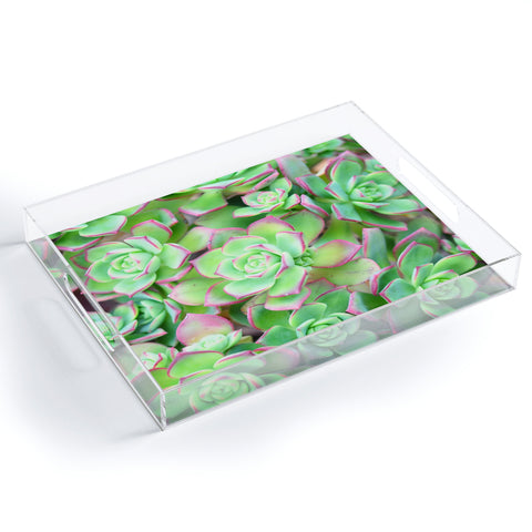 Lisa Argyropoulos Succulents Color Acrylic Tray