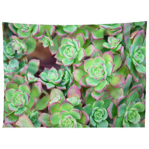 Lisa Argyropoulos Succulents Color Tapestry