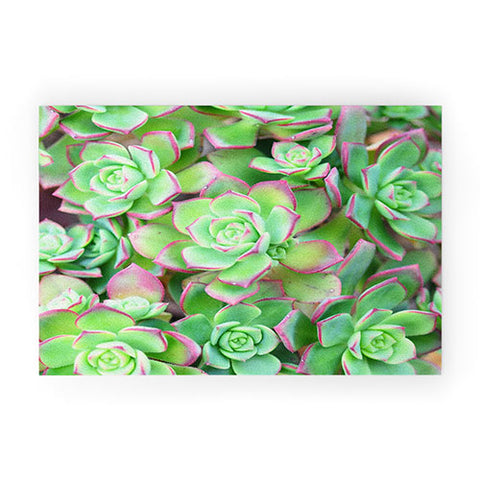 Lisa Argyropoulos Succulents Color Welcome Mat