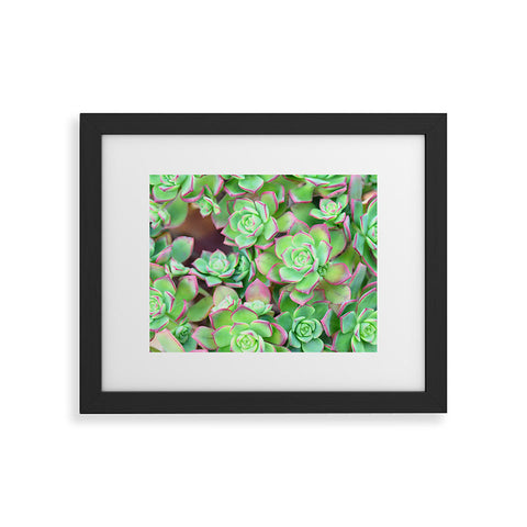 Lisa Argyropoulos Succulents Color Framed Art Print