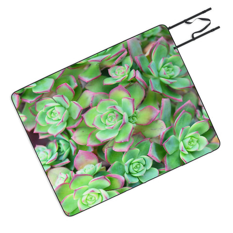 Lisa Argyropoulos Succulents Color Picnic Blanket