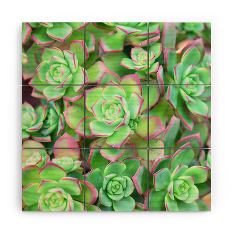 Lisa Argyropoulos Succulents Color Wood Wall Mural
