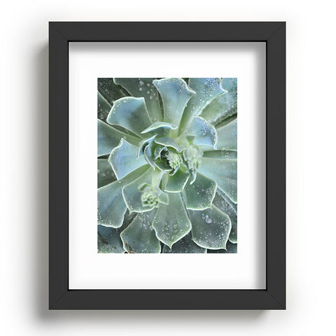 Lisa Argyropoulos Succulents II Recessed Framing Rectangle