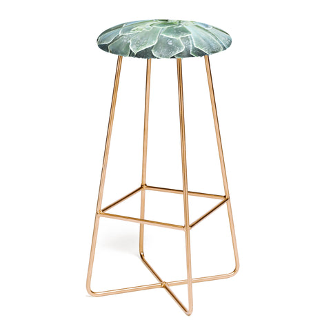 Lisa Argyropoulos Succulents II Bar Stool