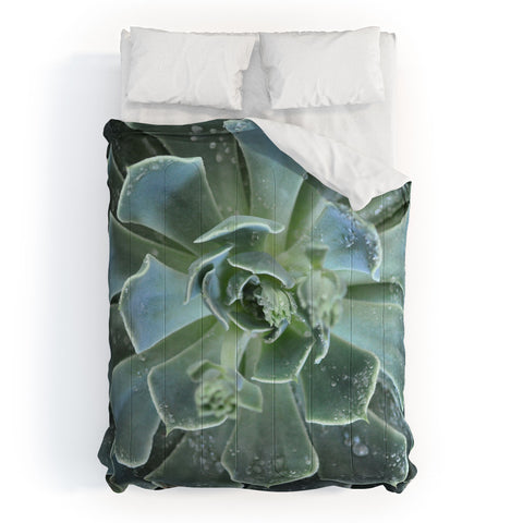 Lisa Argyropoulos Succulents II Comforter