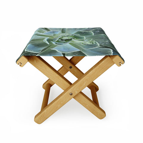 Lisa Argyropoulos Succulents II Folding Stool