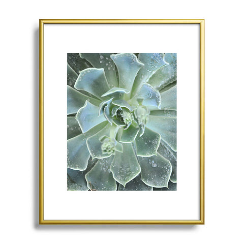 Lisa Argyropoulos Succulents II Metal Framed Art Print