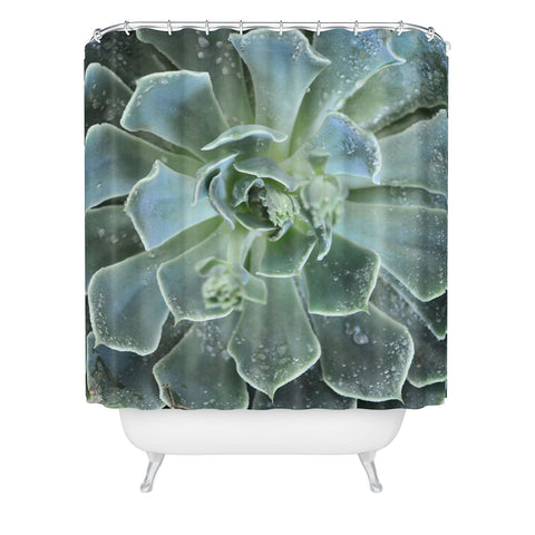 Lisa Argyropoulos Succulents II Shower Curtain
