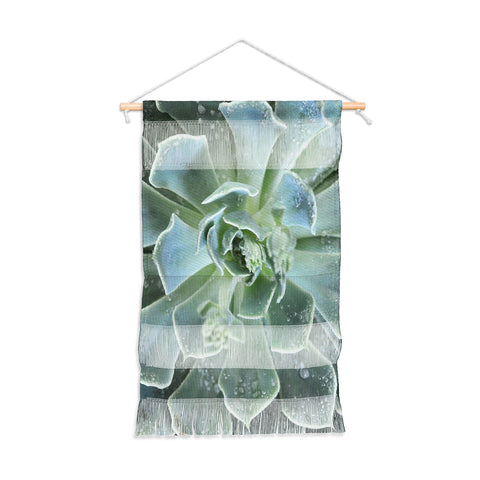 Lisa Argyropoulos Succulents II Wall Hanging Portrait