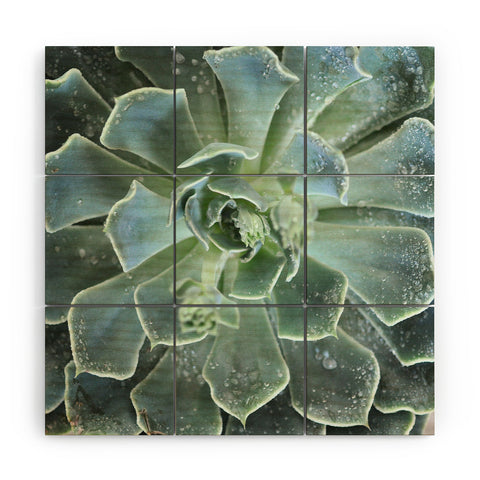 Lisa Argyropoulos Succulents II Wood Wall Mural
