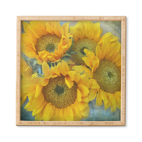 Lisa Argyropoulos Sunny Disposition Framed Wall Art