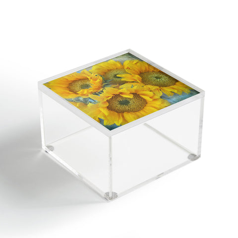 Lisa Argyropoulos Sunny Disposition Acrylic Box