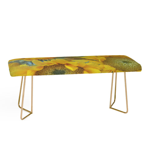 Lisa Argyropoulos Sunny Disposition Bench