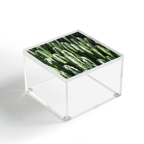 Lisa Argyropoulos The Gathering Green Acrylic Box