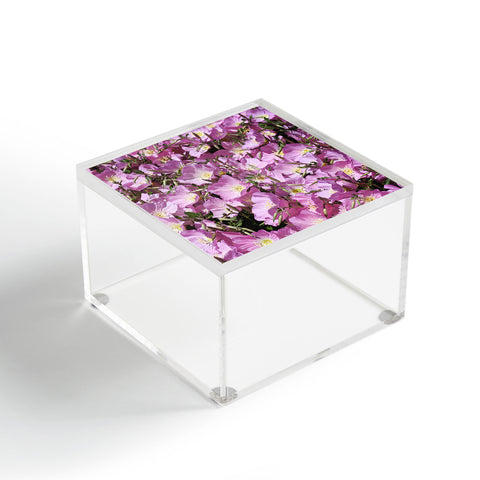 Lisa Argyropoulos The Pink Ladies Acrylic Box
