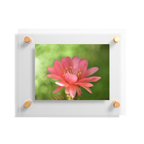 Lisa Argyropoulos Torch Floating Acrylic Print