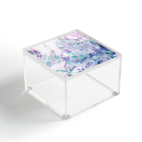 Lisa Argyropoulos Tropical Dreams Acrylic Box