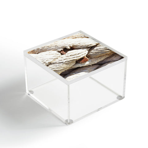 Lisa Argyropoulos Twisted Acrylic Box