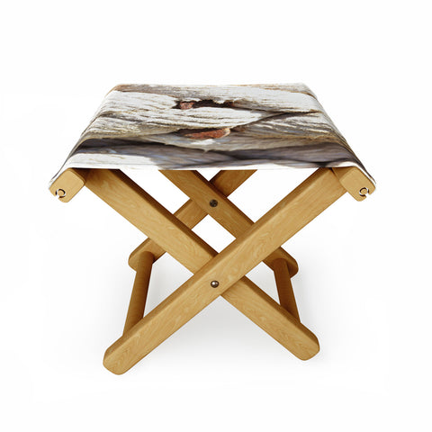 Lisa Argyropoulos Twisted Folding Stool