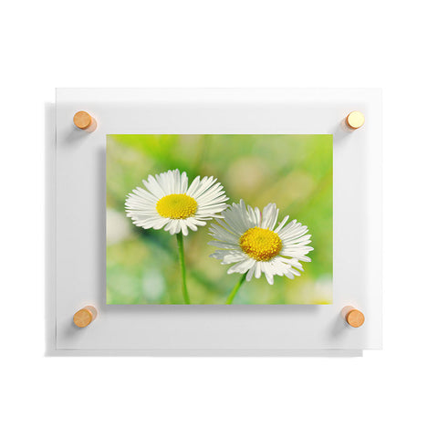 Lisa Argyropoulos Two Of A Kind Floating Acrylic Print