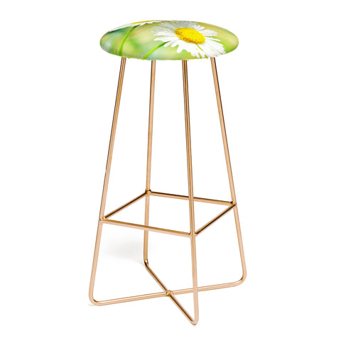 Lisa Argyropoulos Two Of A Kind Bar Stool