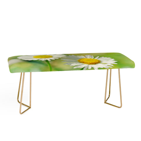 Lisa Argyropoulos Two Of A Kind Bench