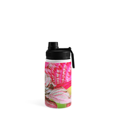 Lisa Argyropoulos Vibrant Water Bottle