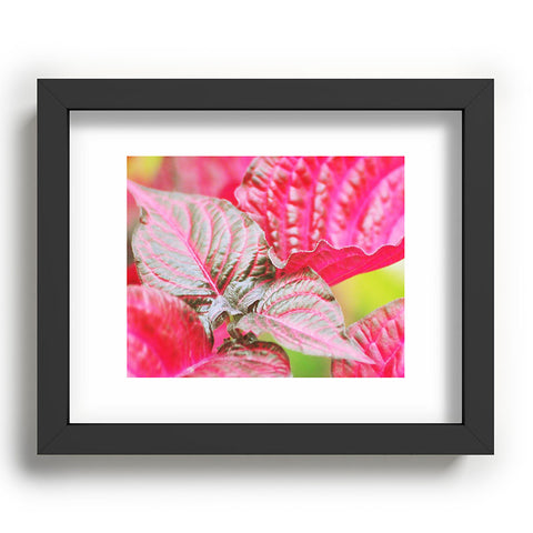 Lisa Argyropoulos Vibrant Recessed Framing Rectangle