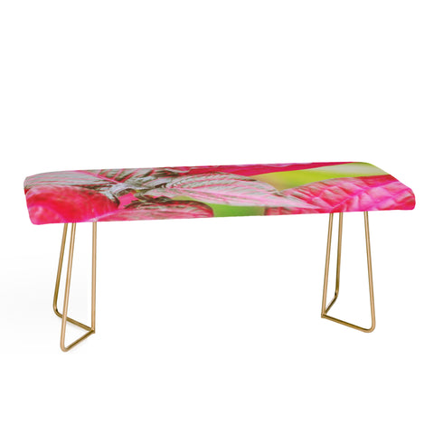 Lisa Argyropoulos Vibrant Bench