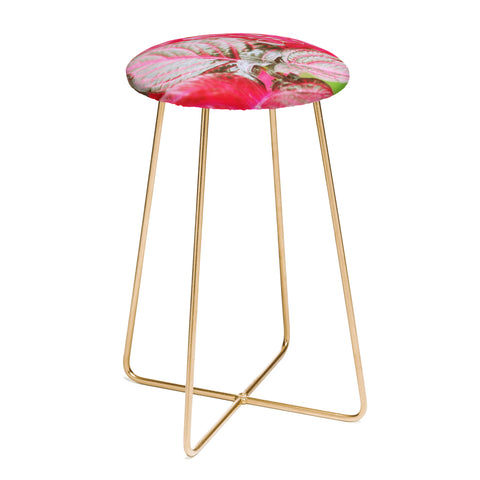 Lisa Argyropoulos Vibrant Counter Stool